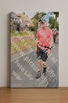 Evenement foto: Nijmeegse Vierdaagse 666