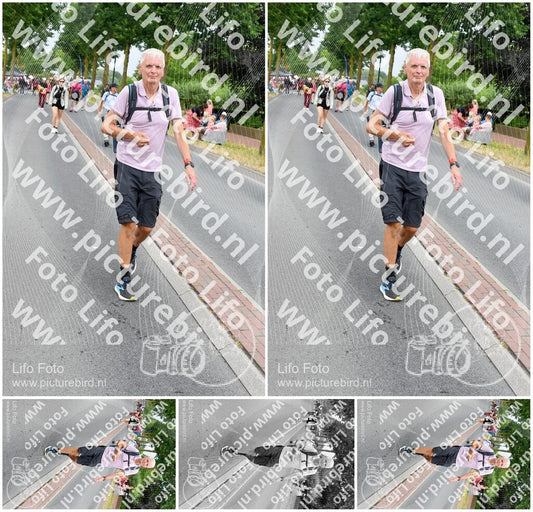 Evenement foto: Nijmeegse Vierdaagse 666