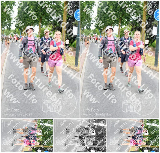 Evenement foto: Nijmeegse Vierdaagse 665