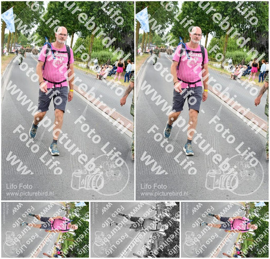 Evenement foto: Nijmeegse Vierdaagse 665