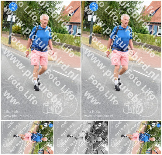 Evenement foto: Nijmeegse Vierdaagse 665