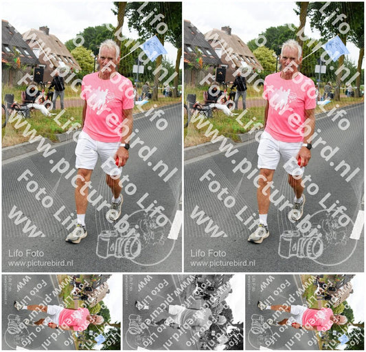 Evenement foto: Nijmeegse Vierdaagse 665