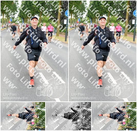 Evenement foto: Nijmeegse Vierdaagse 665