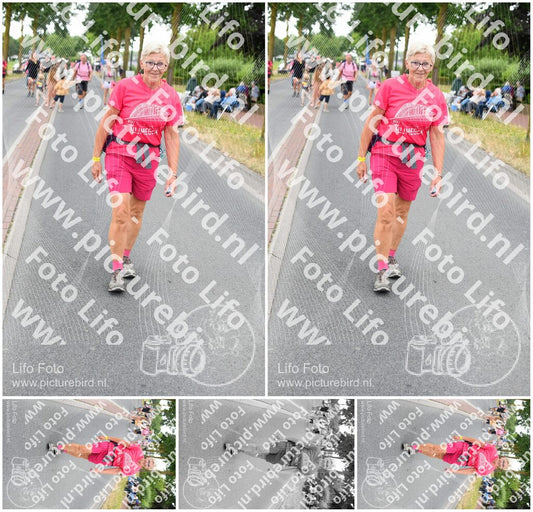 Evenement foto: Nijmeegse Vierdaagse 665