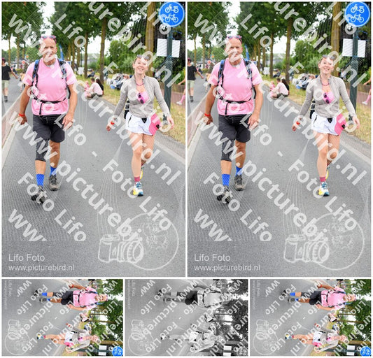 Evenement foto: Nijmeegse Vierdaagse 665