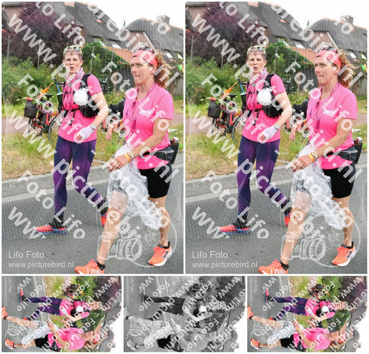 Evenement foto: Nijmeegse Vierdaagse 665