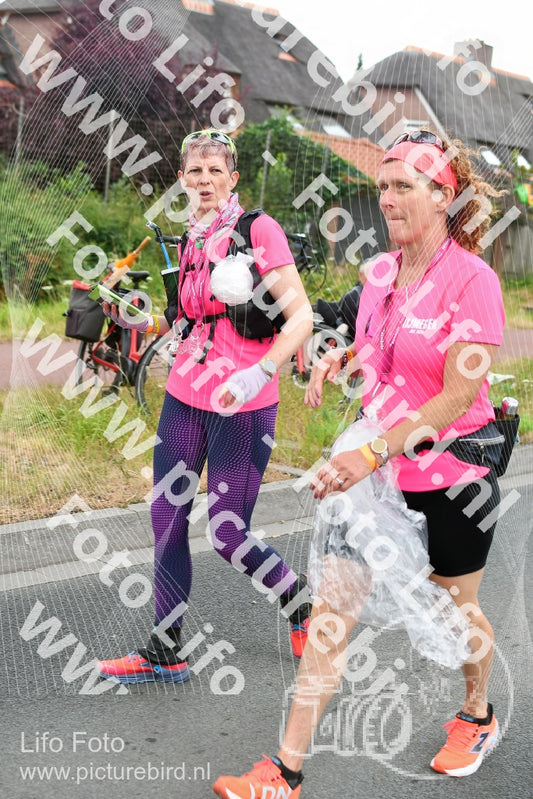 Evenement foto: Nijmeegse Vierdaagse 665