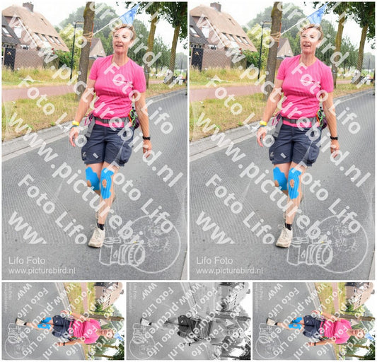 Evenement foto: Nijmeegse Vierdaagse 665