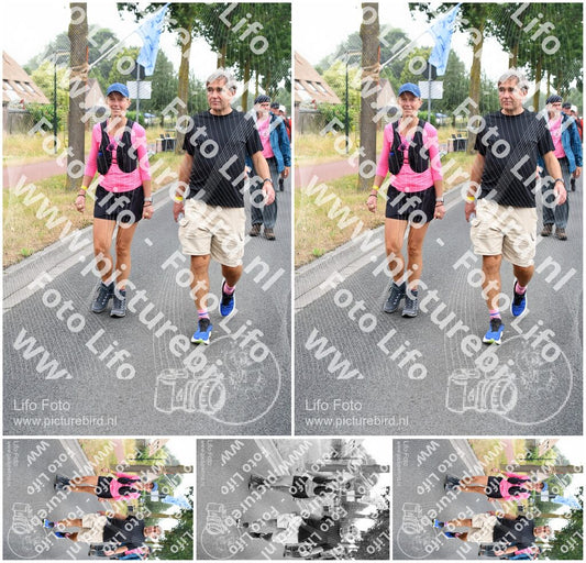 Evenement foto: Nijmeegse Vierdaagse 665