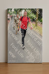 Evenement foto: Nijmeegse Vierdaagse 665