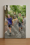 Evenement foto: Nijmeegse Vierdaagse 852
