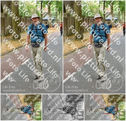 Evenement foto: Nijmeegse Vierdaagse 852