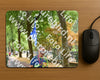 Evenement foto: Nijmeegse Vierdaagse 852
