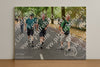 Evenement foto: Nijmeegse Vierdaagse 852