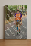 Evenement foto: Nijmeegse Vierdaagse 852