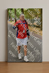 Evenement foto: Nijmeegse Vierdaagse 852