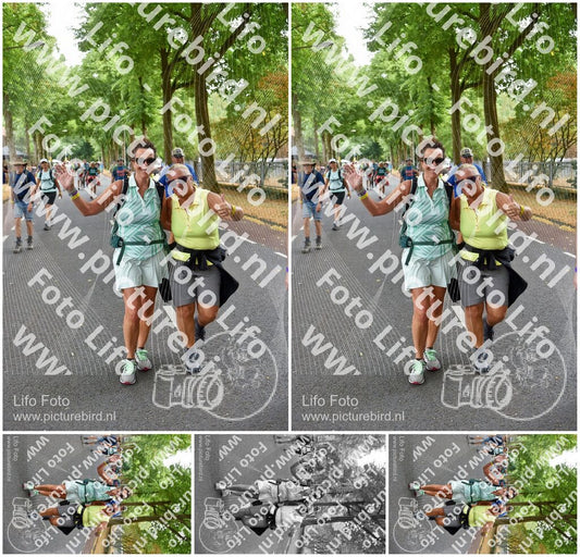 Evenement foto: Nijmeegse Vierdaagse 852