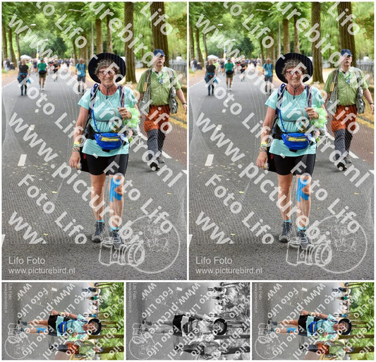 Evenement foto: Nijmeegse Vierdaagse 852