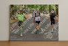 Evenement foto: Nijmeegse Vierdaagse 852