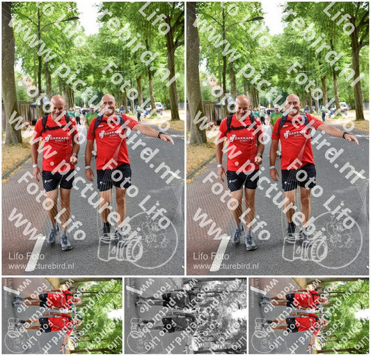 Evenement foto: Nijmeegse Vierdaagse 852