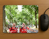 Evenement foto: Nijmeegse Vierdaagse 852