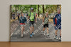 Evenement foto: Nijmeegse Vierdaagse 852