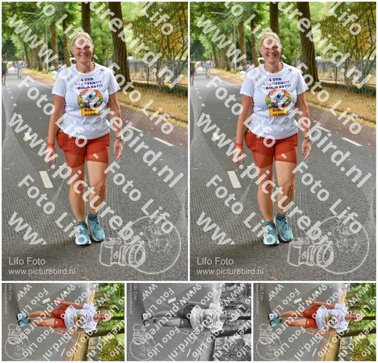 Evenement foto: Nijmeegse Vierdaagse 852