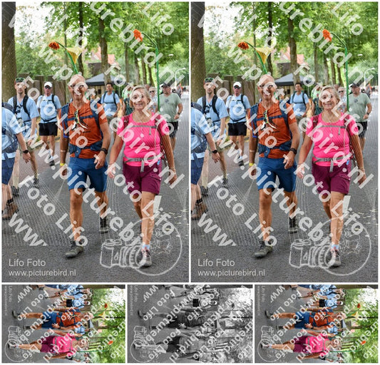 Evenement foto: Nijmeegse Vierdaagse 852
