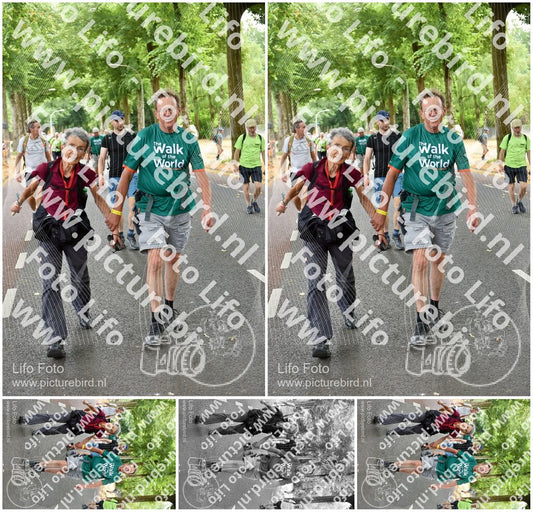 Evenement foto: Nijmeegse Vierdaagse 852