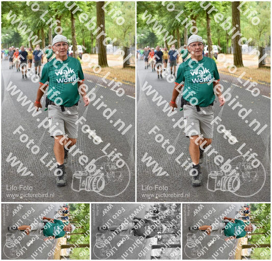 Evenement foto: Nijmeegse Vierdaagse 852