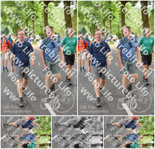 Evenement foto: Nijmeegse Vierdaagse 852