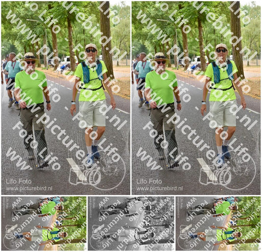 Evenement foto: Nijmeegse Vierdaagse 851