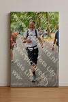 Evenement foto: Nijmeegse Vierdaagse 851