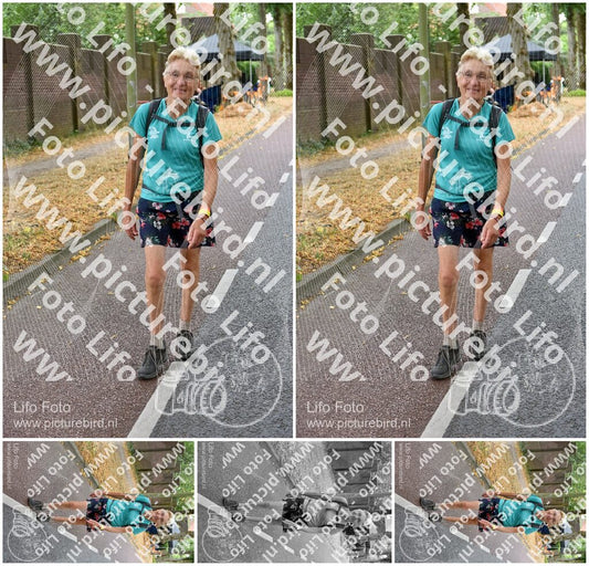 Evenement foto: Nijmeegse Vierdaagse 851
