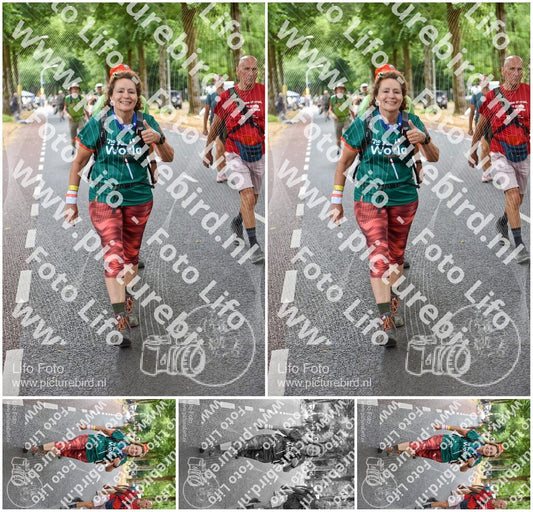 Evenement foto: Nijmeegse Vierdaagse 851