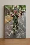 Evenement foto: Nijmeegse Vierdaagse 851