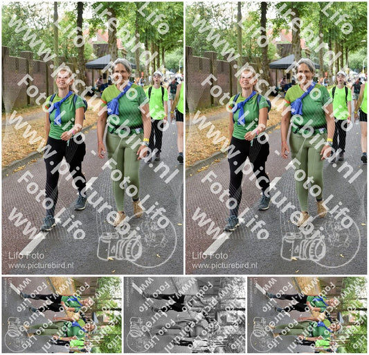Evenement foto: Nijmeegse Vierdaagse 851
