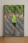 Evenement foto: Nijmeegse Vierdaagse 851