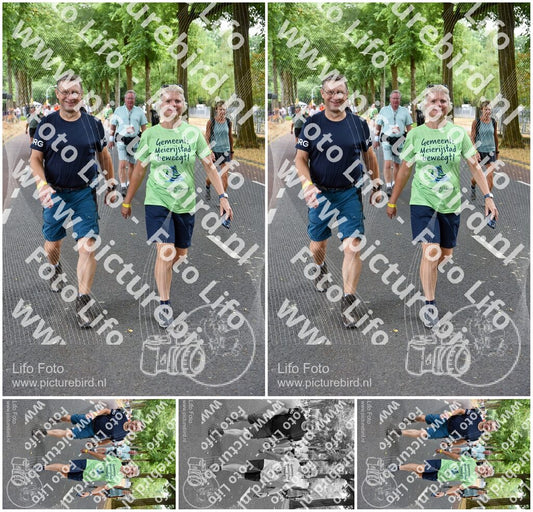 Evenement foto: Nijmeegse Vierdaagse 851