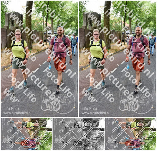 Evenement foto: Nijmeegse Vierdaagse 851