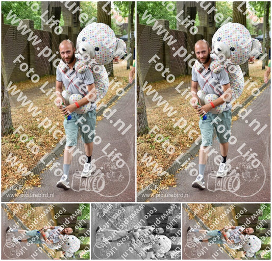 Evenement foto: Nijmeegse Vierdaagse 851