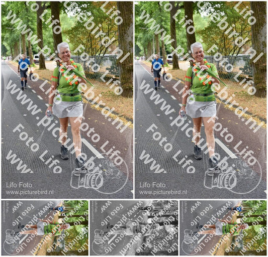 Evenement foto: Nijmeegse Vierdaagse 851
