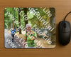 Evenement foto: Nijmeegse Vierdaagse 851