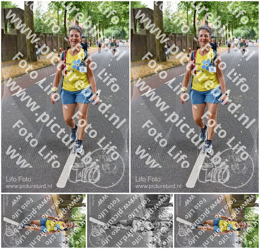 Evenement foto: Nijmeegse Vierdaagse 851
