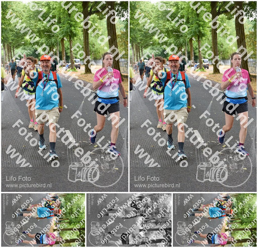 Evenement foto: Nijmeegse Vierdaagse 851