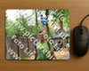 Evenement foto: Nijmeegse Vierdaagse 850