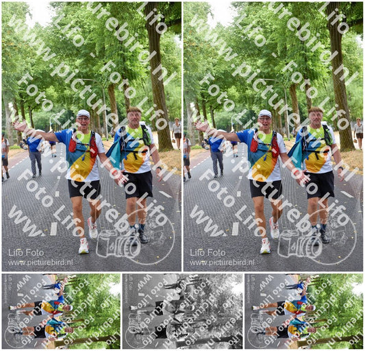 Evenement foto: Nijmeegse Vierdaagse 850