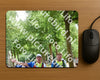 Evenement foto: Nijmeegse Vierdaagse 850