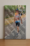 Evenement foto: Nijmeegse Vierdaagse 850
