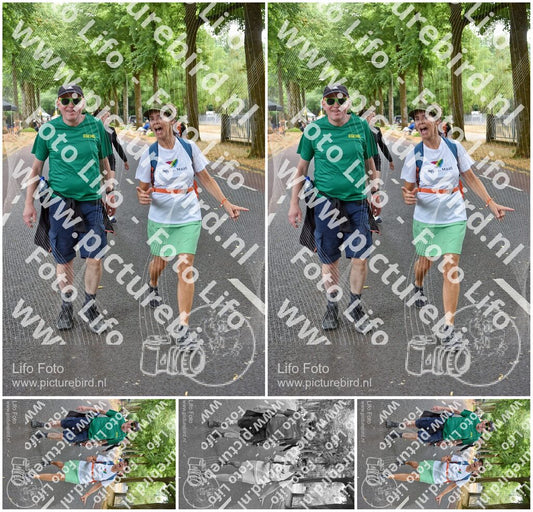 Evenement foto: Nijmeegse Vierdaagse 850